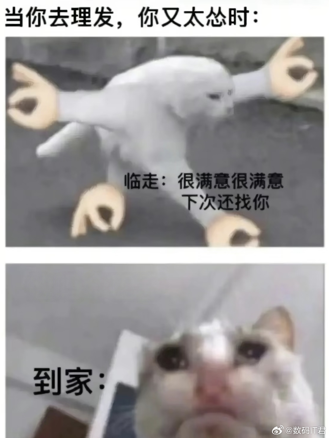 我有个朋友，他现正在理发，结果发现年轻的托尼老师手法明显还不太熟练。他有点纠结了