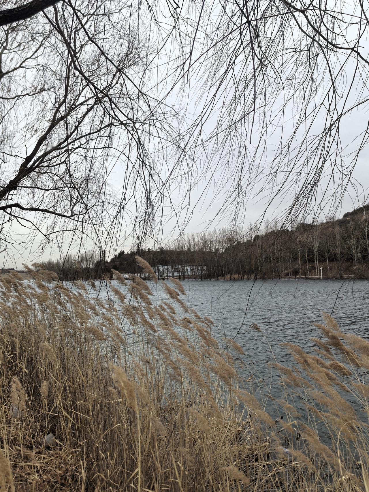 分享你随手拍下的风景