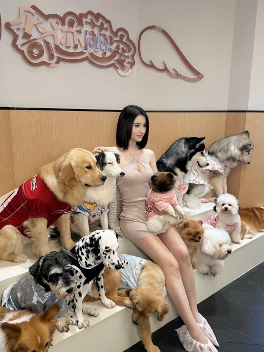 世界破破烂烂，小狗缝缝补补！