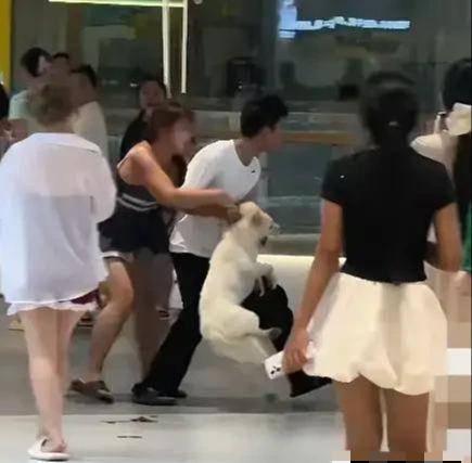 剧情反转！长沙商场摔狗实情曝光！全网流传剧情原来是编造的！事件反转消息最早在7月