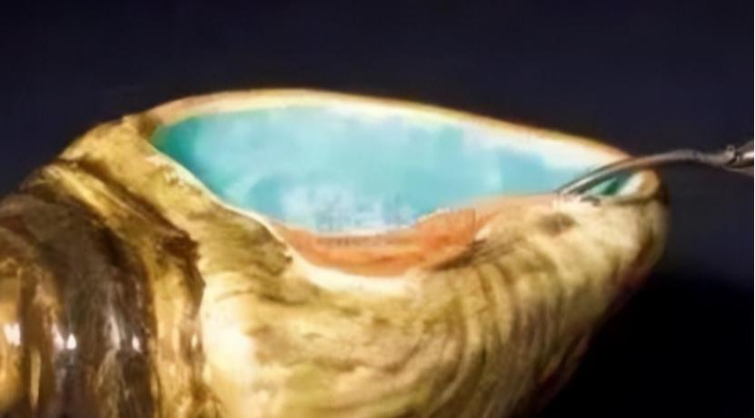 1952年，河南一位男子翻修老宅时，竟从夹墙里挖出一个精美的木盒，然而当他激动地