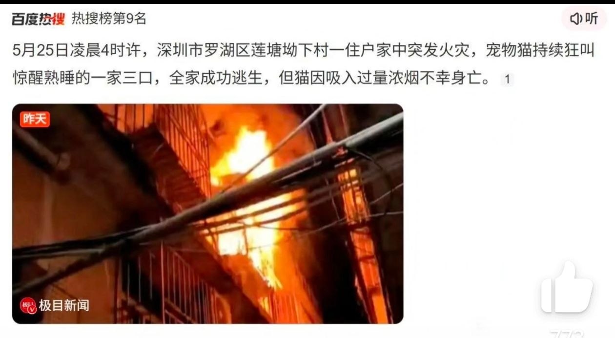 猫好😢 