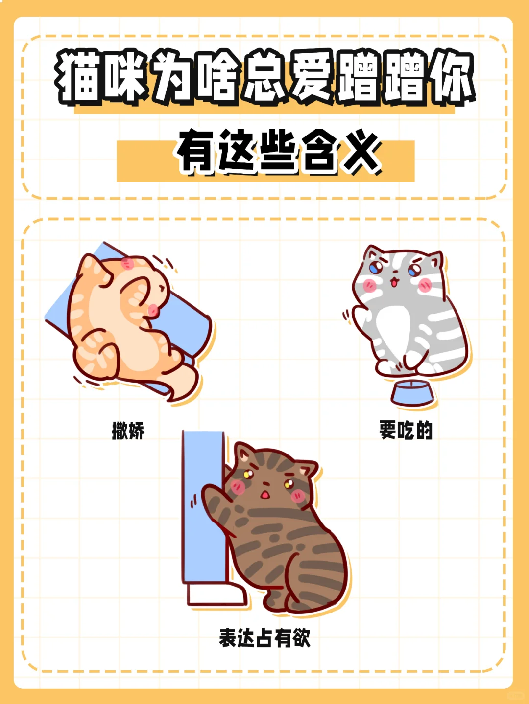 猫咪为啥总爱蹭蹭你，有这些含义