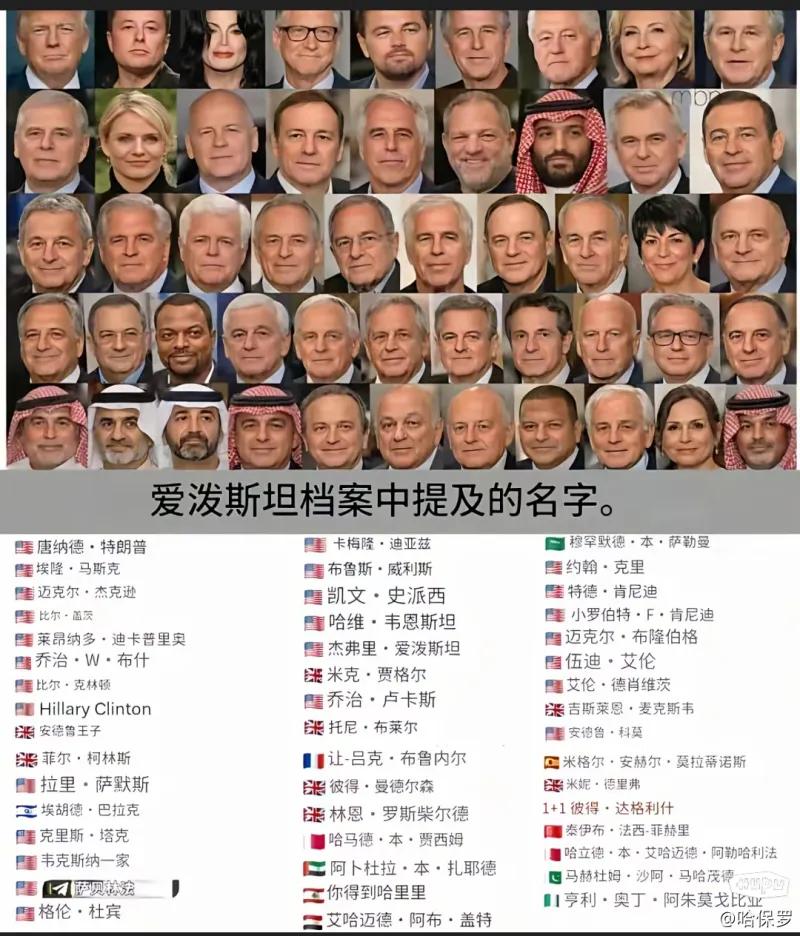 爱泼斯坦文件中提到的部分名人名单，哪个让你觉得不可思议？