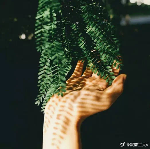 无声的时刻·默斋主人原创自由诗成年人的解压方式，早已远离推杯换盏的喧嚣。索性将世