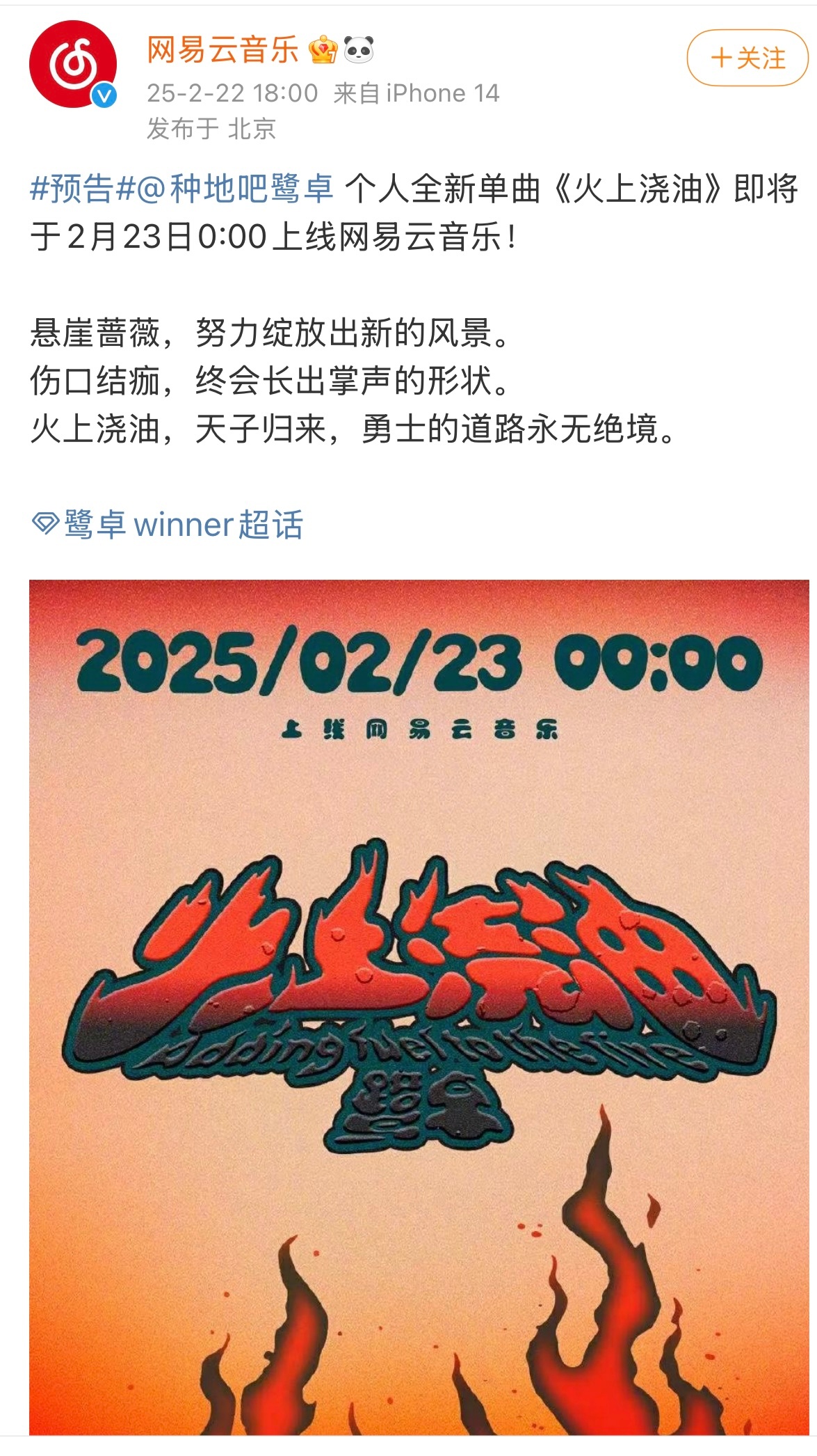 鹭卓  2025.2.23  零点《火上浇油》 网易☁️上线[送花花][送花花]