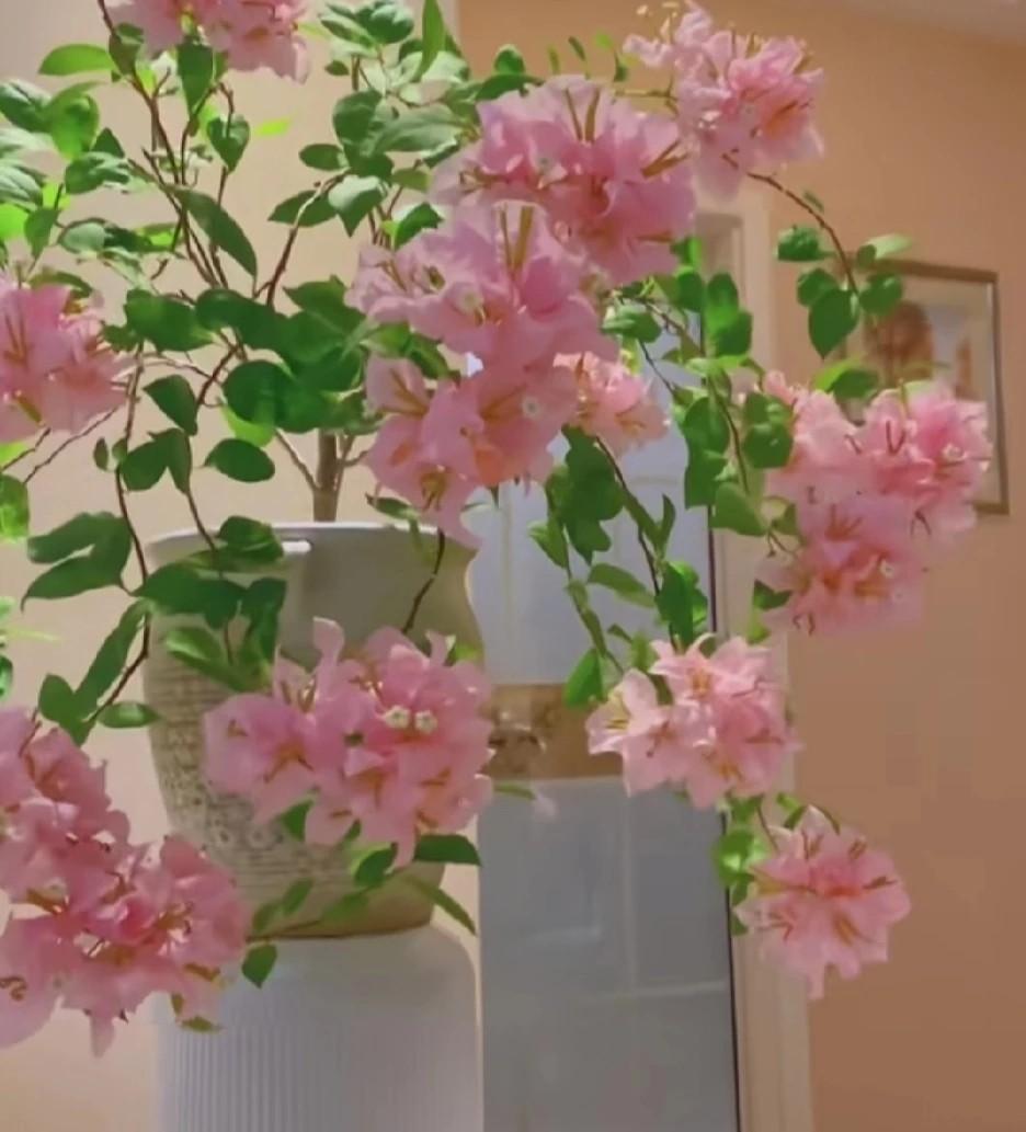 一个单身汉的一生！村里一个单身汉死了，发现时已经臭了，没有人知道他是什么时候死的