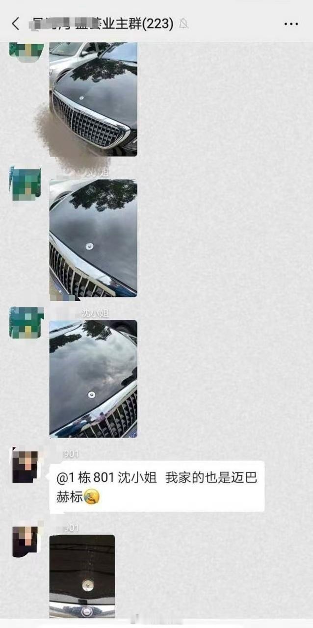 俩熊孩子给 14 台奔驰标拔了.....里面还掺了两个迈巴赫孩子以后肯定是个实干