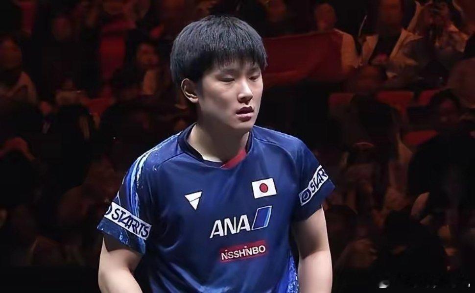 张本智和曾参拜东乡神社张本智和作为日籍华裔，竟公然参拜，这行为确实令国人失望了！