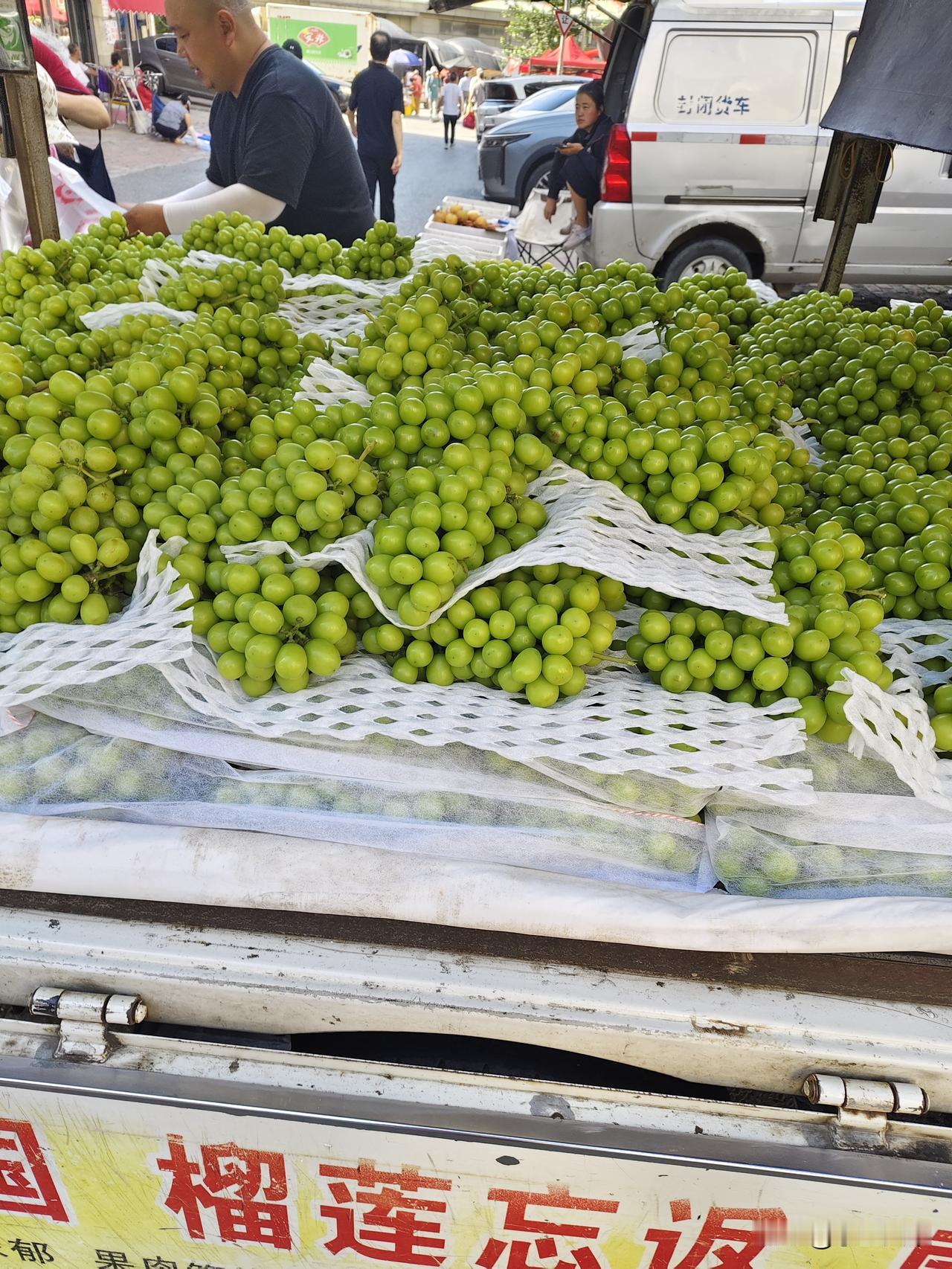 这葡萄原产地去过，这就一个普通葡萄的分支一嘟噜就480日元，能有四两呀，国内说进