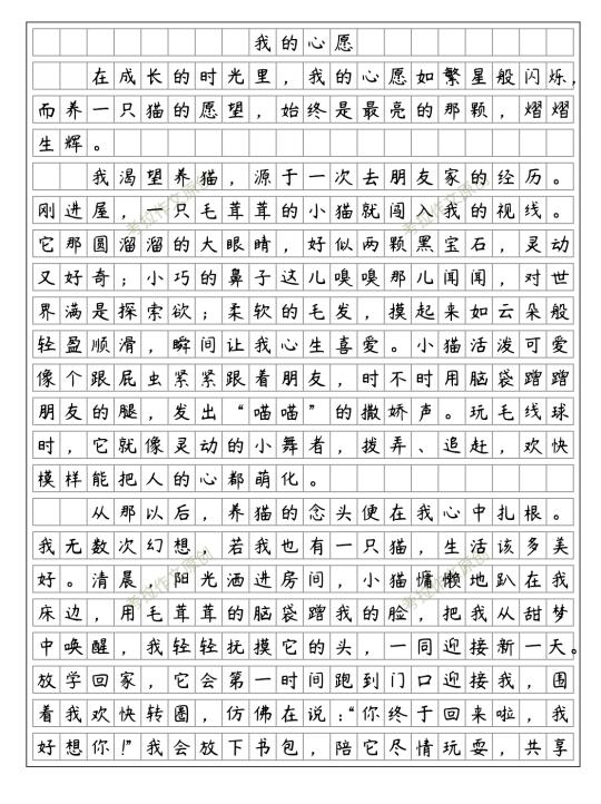 《我的心愿》优秀范文 六下四单元作文
