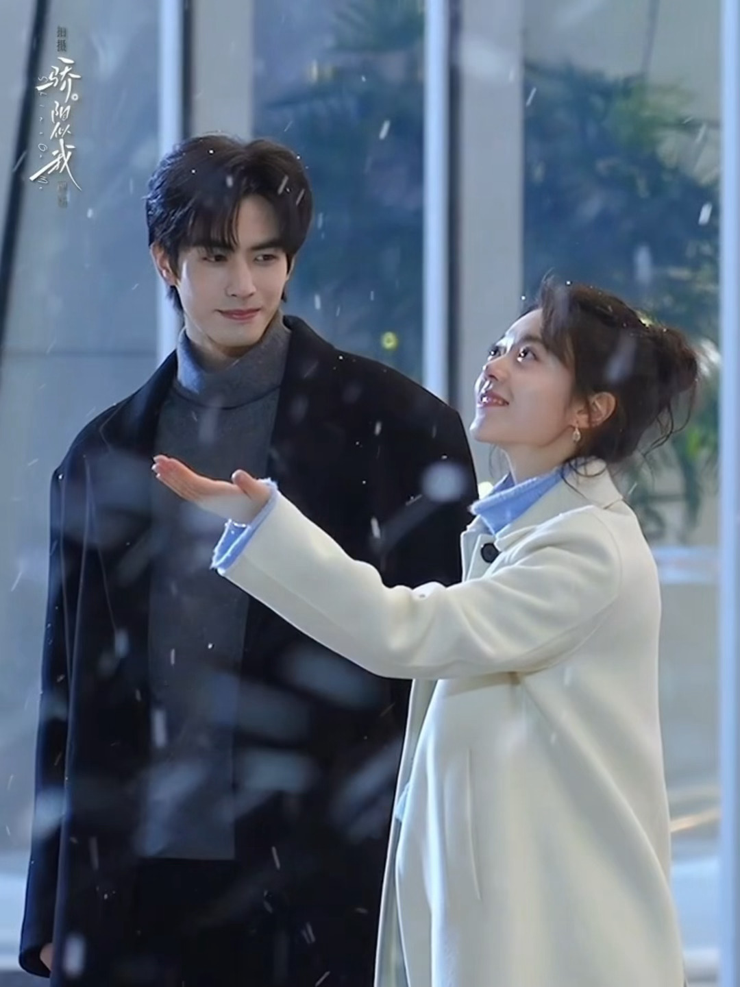 你在看雪我在看你曦光你回头看一眼林屿森吧骄阳似我看雪花絮