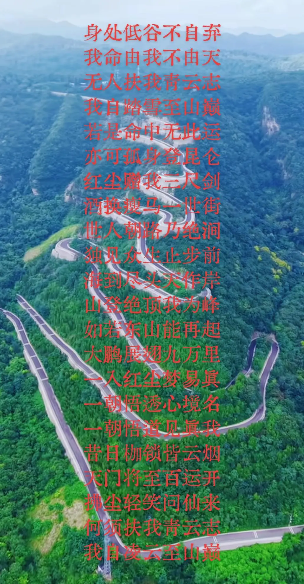 青云志，读后感受……