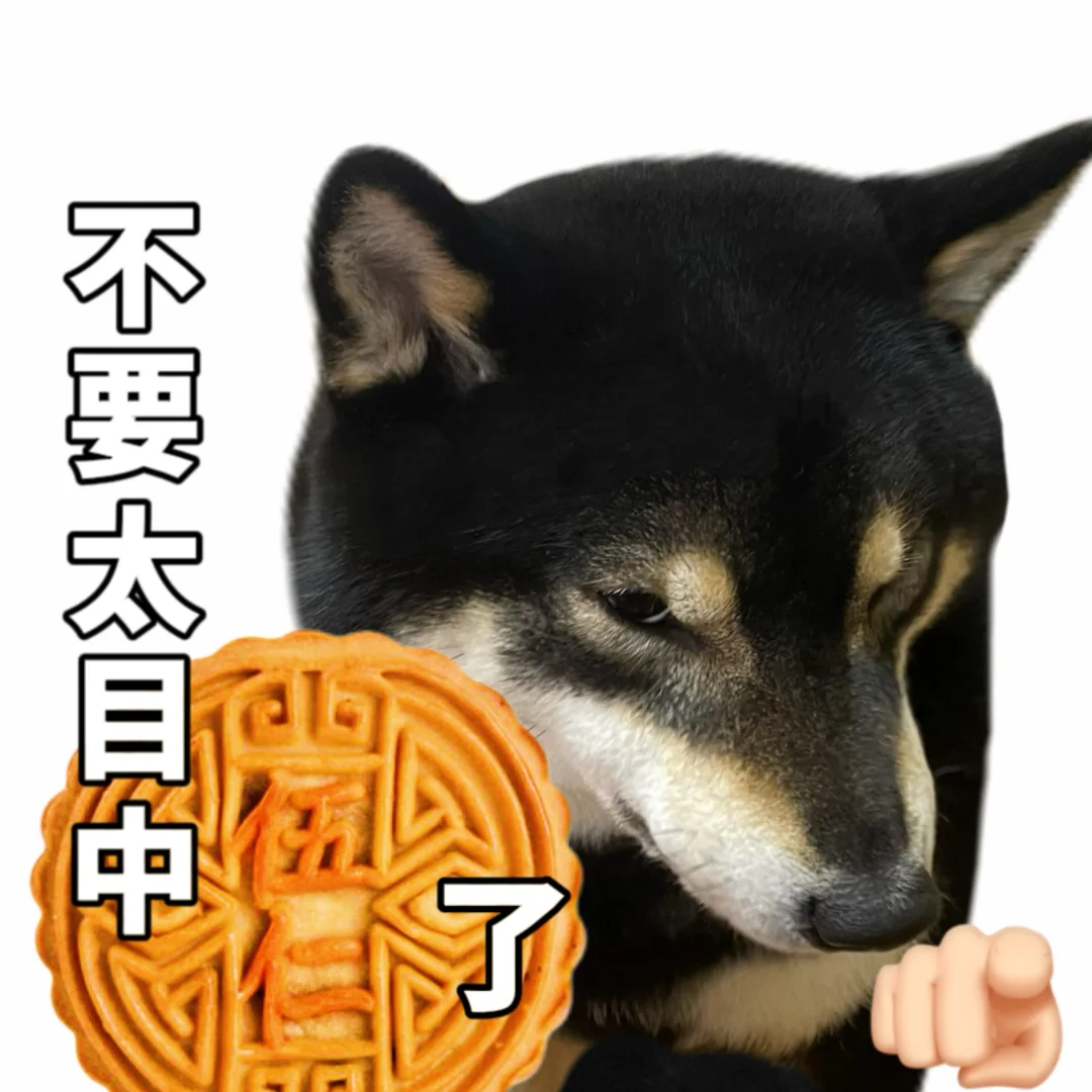 表情包|吃什么口味的月饼🥮