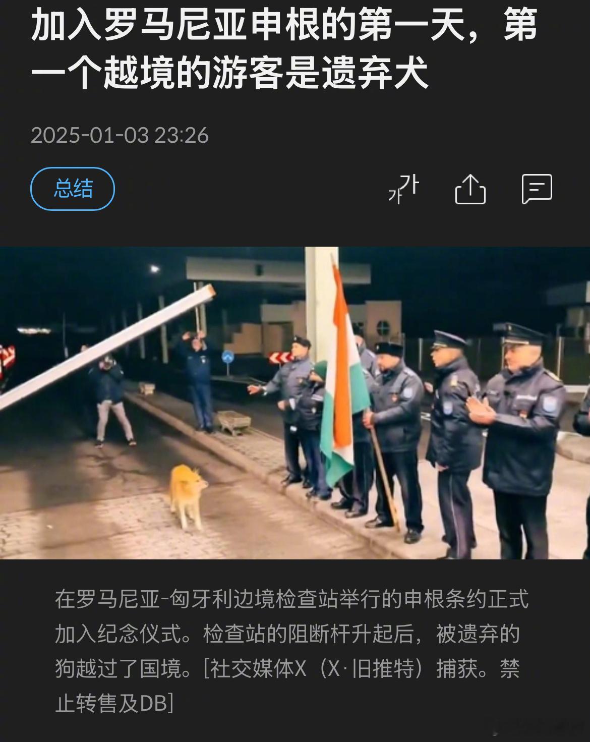 罗马尼亚加入申根区第一天，首先过境的是一条流浪狗[挖鼻] 