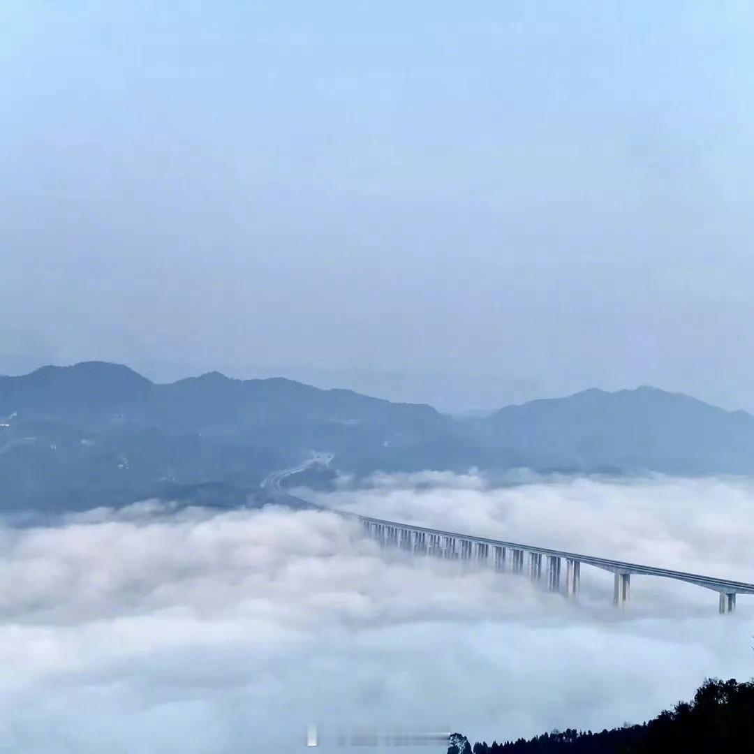 #巴南东温泉赏花节启幕# 【2024年巴南东温泉镇第三届春季温泉赏花节邀您共赴浪