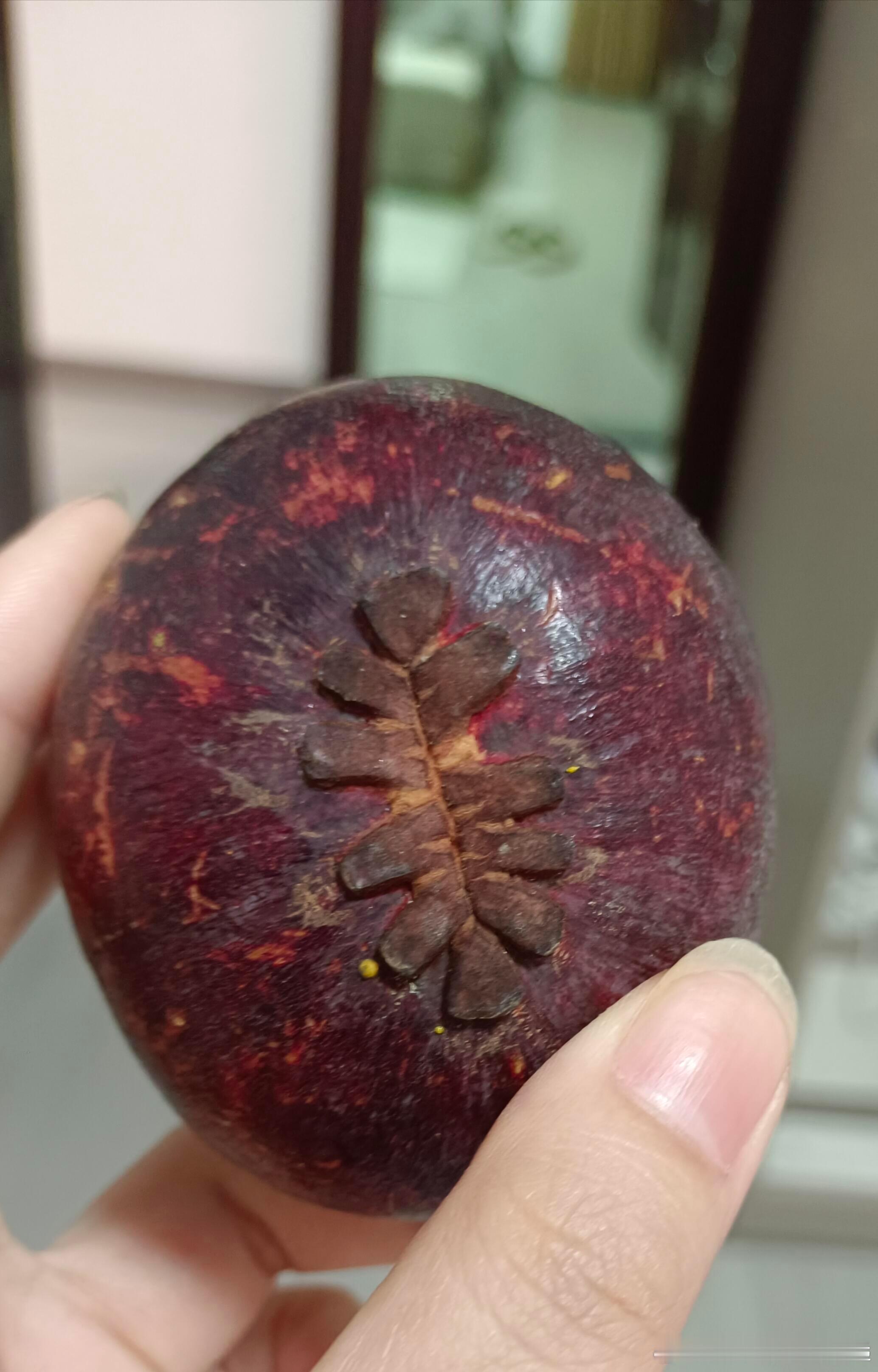 吃到了有十瓣果肉的山竹[拜托]暑假冲浪计划我的精神状态凉好 ​​​