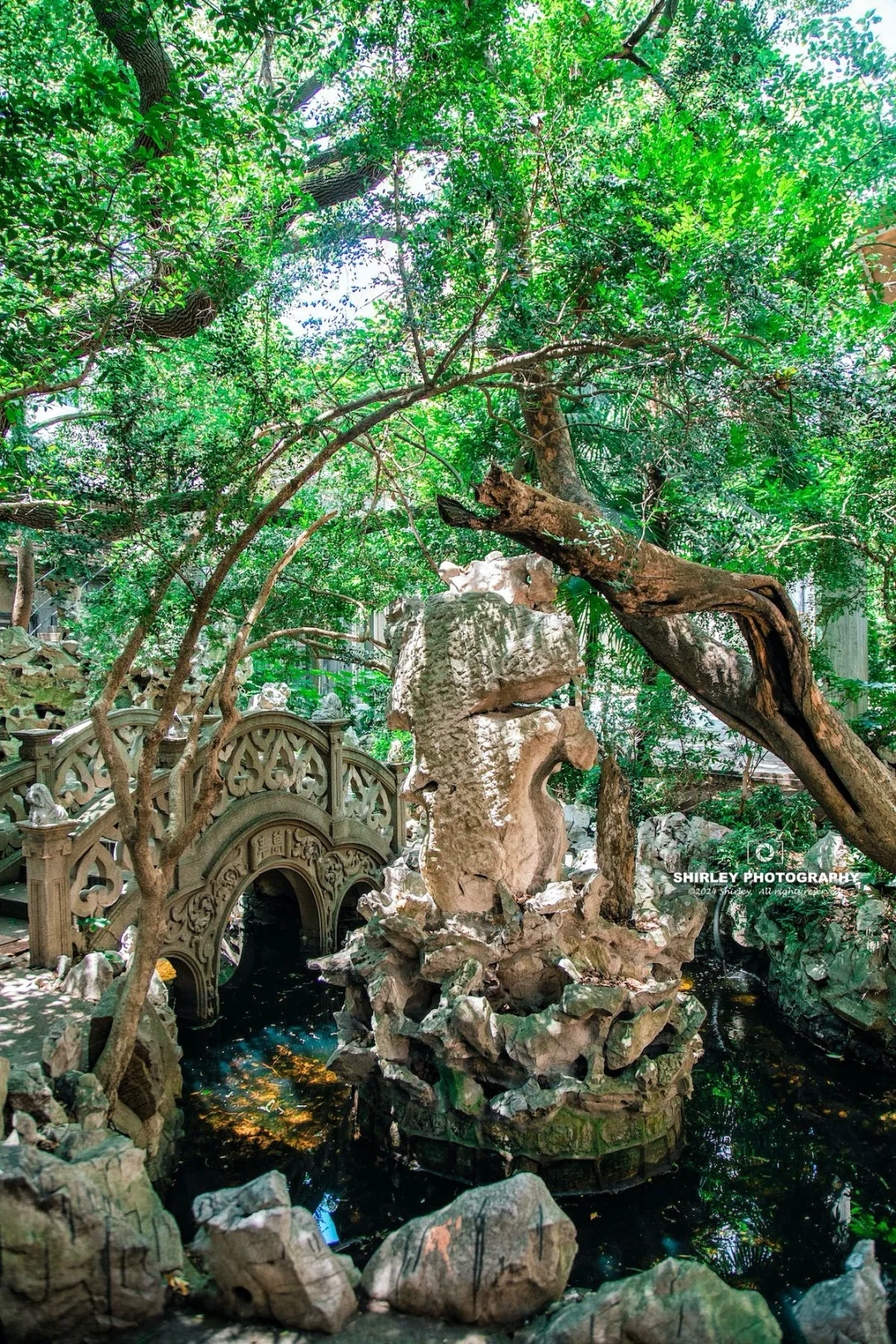 魔都秘境🎐静安寺边有座鲜为人知的古典园林