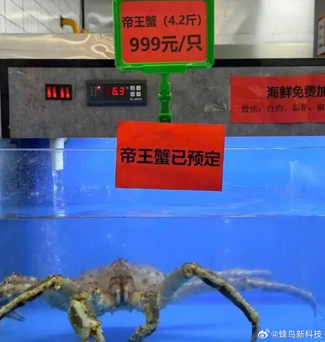 帝王蟹不应进入学校食堂 大学食堂是市场经济运作吗？不是的话就不合适。 ​​​