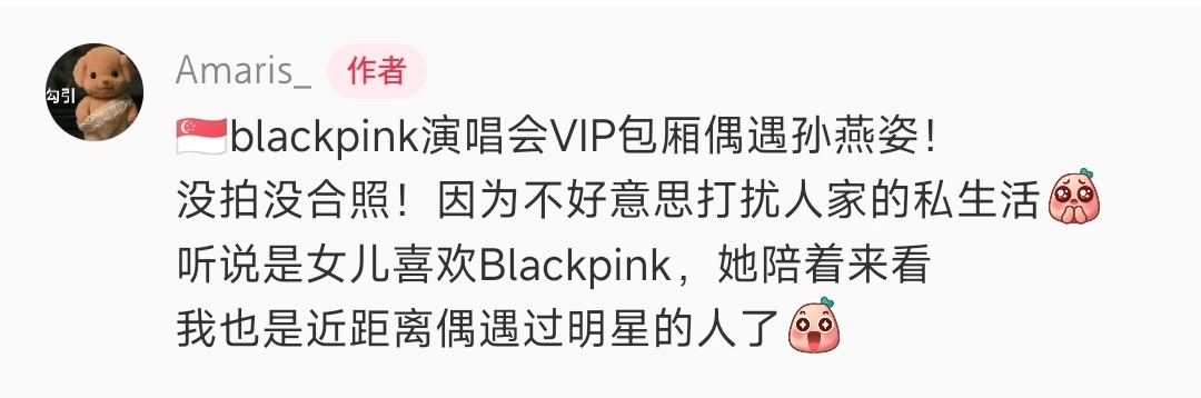 网友偶遇孙燕姿一家去看BLACKPINK新加坡演唱会🤩Cr.logo 