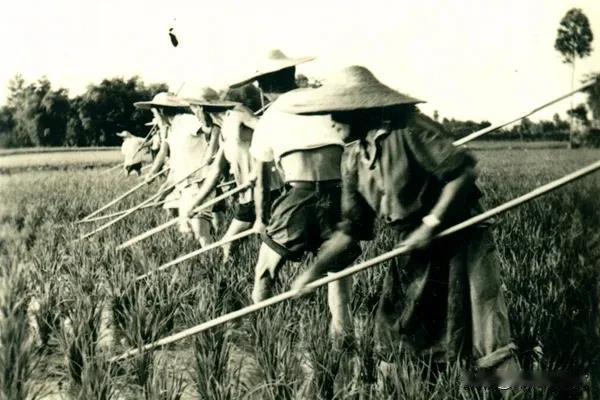 过去农村搞集体总是要加夜班，真的需要加夜班吗？

加班加点，其实不管在那个年代是