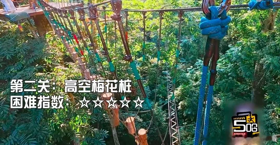 五哈给鹿晗上难度了哈哈哈哈哈 恐高患者鹿晗被五哈安排得明明白白。听完项目介绍，他