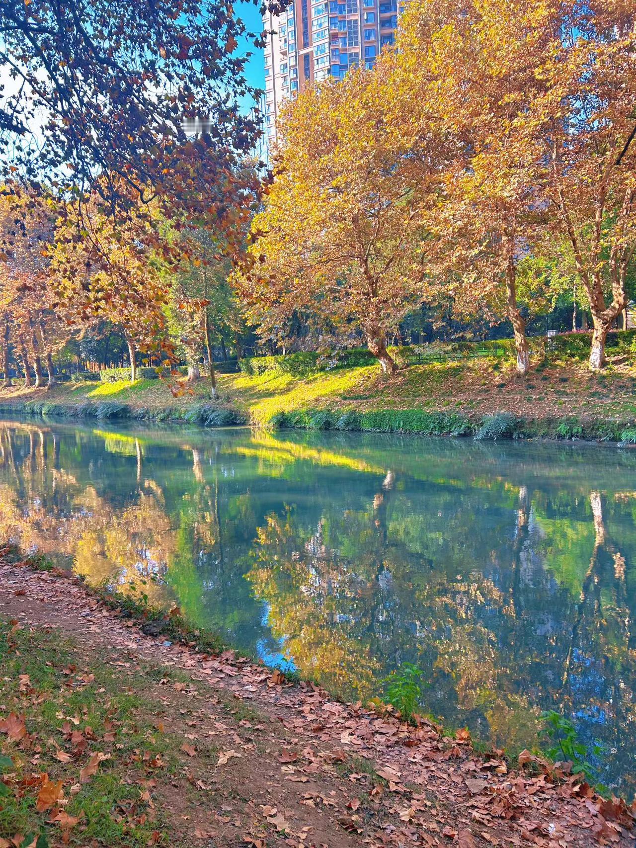 太阳出来暖洋洋，男女老少晒太阳

大美成都，昨天老天又赏脸了。久违的晴空万里，艳