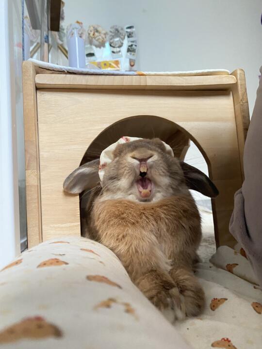 哈哈哈哈哈哈哈哈