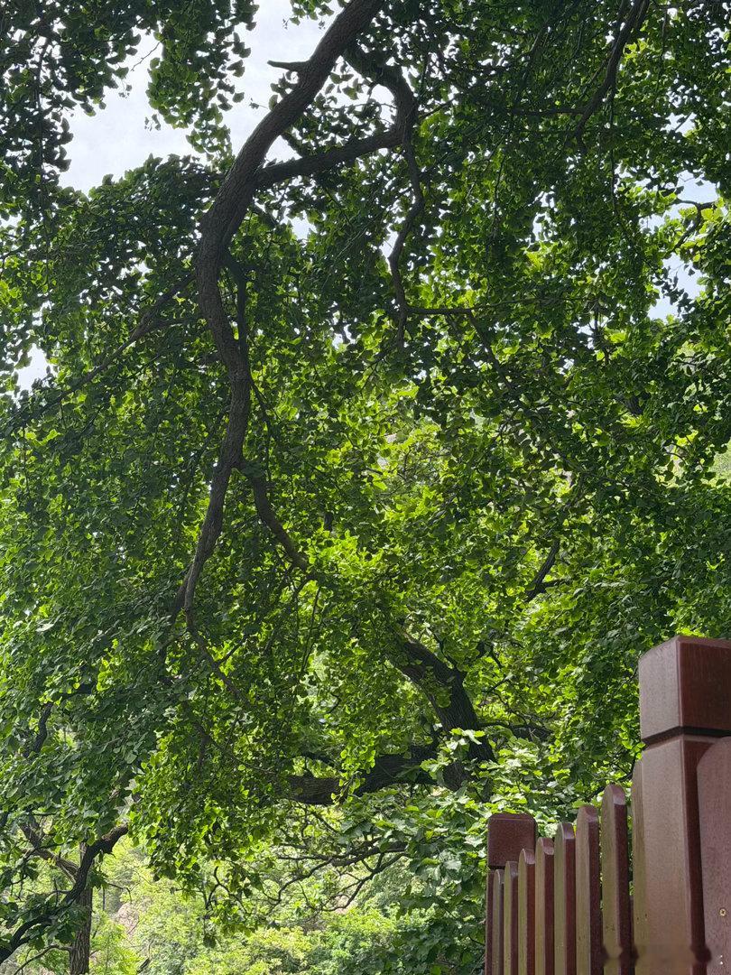 梁家辉来过东港大孤山祈福，后来又凭实力拿下影帝。一个是千年福地，一个是老戏骨的厚