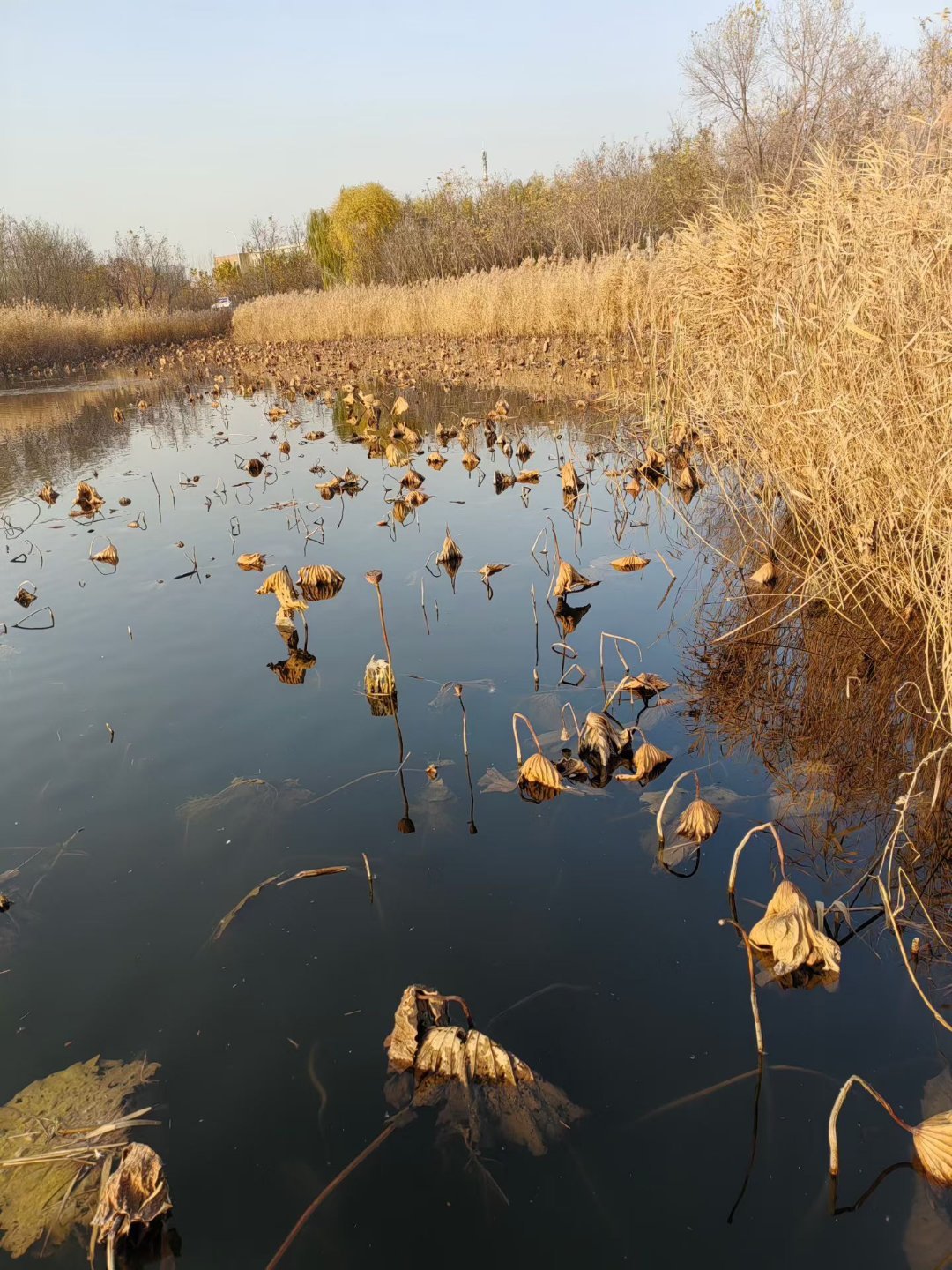 确实是要降温了，今天出门外面都已经感觉出来冷了，明天朋友们都多穿衣服 