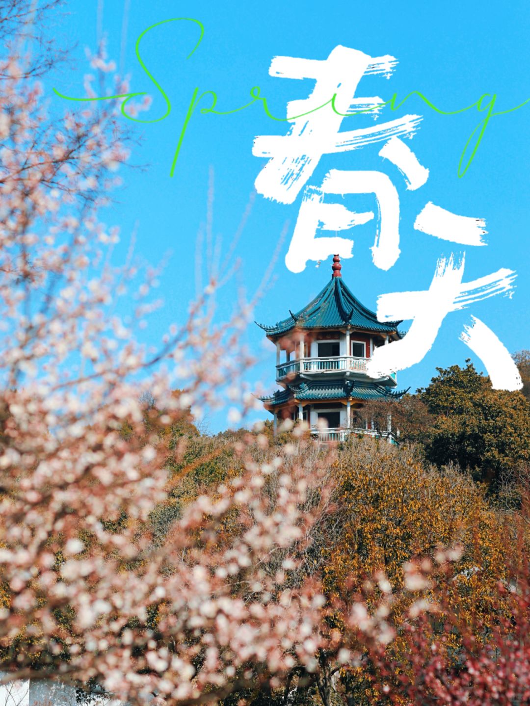 赏梅正当时｜无锡梅园梅花进入最佳观赏期