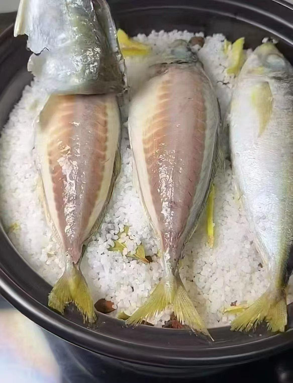 新鲜海鱼，冰镇保鲜，美味待享！