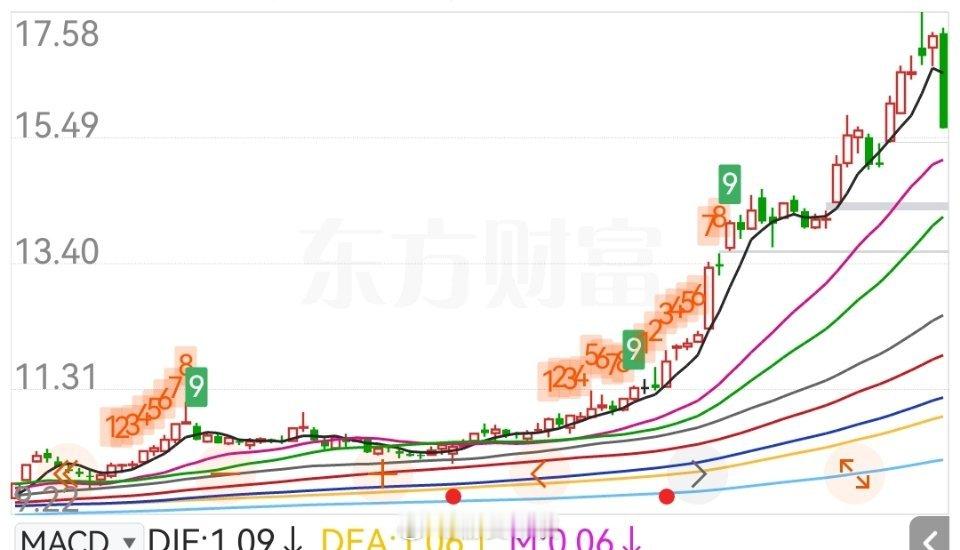 前几天被大家羡慕的某航运龙头，要跌停了！！价值板块今天直接一个高开低走，不知道埋