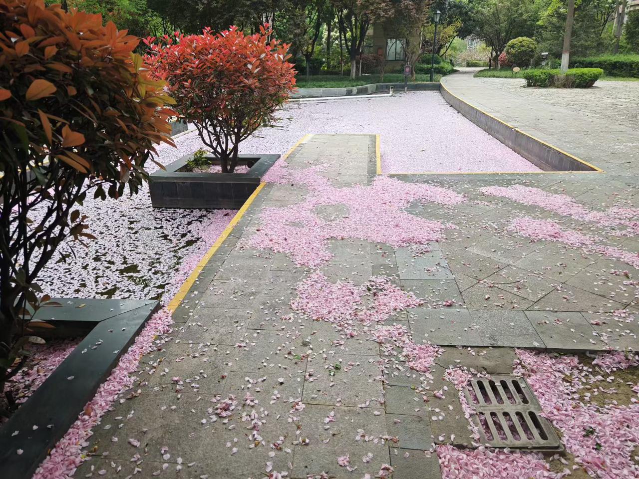 一场春雨落花殇，
花殇落地柳色黄；
且随流水寻春色，
笑看人间岁月长。