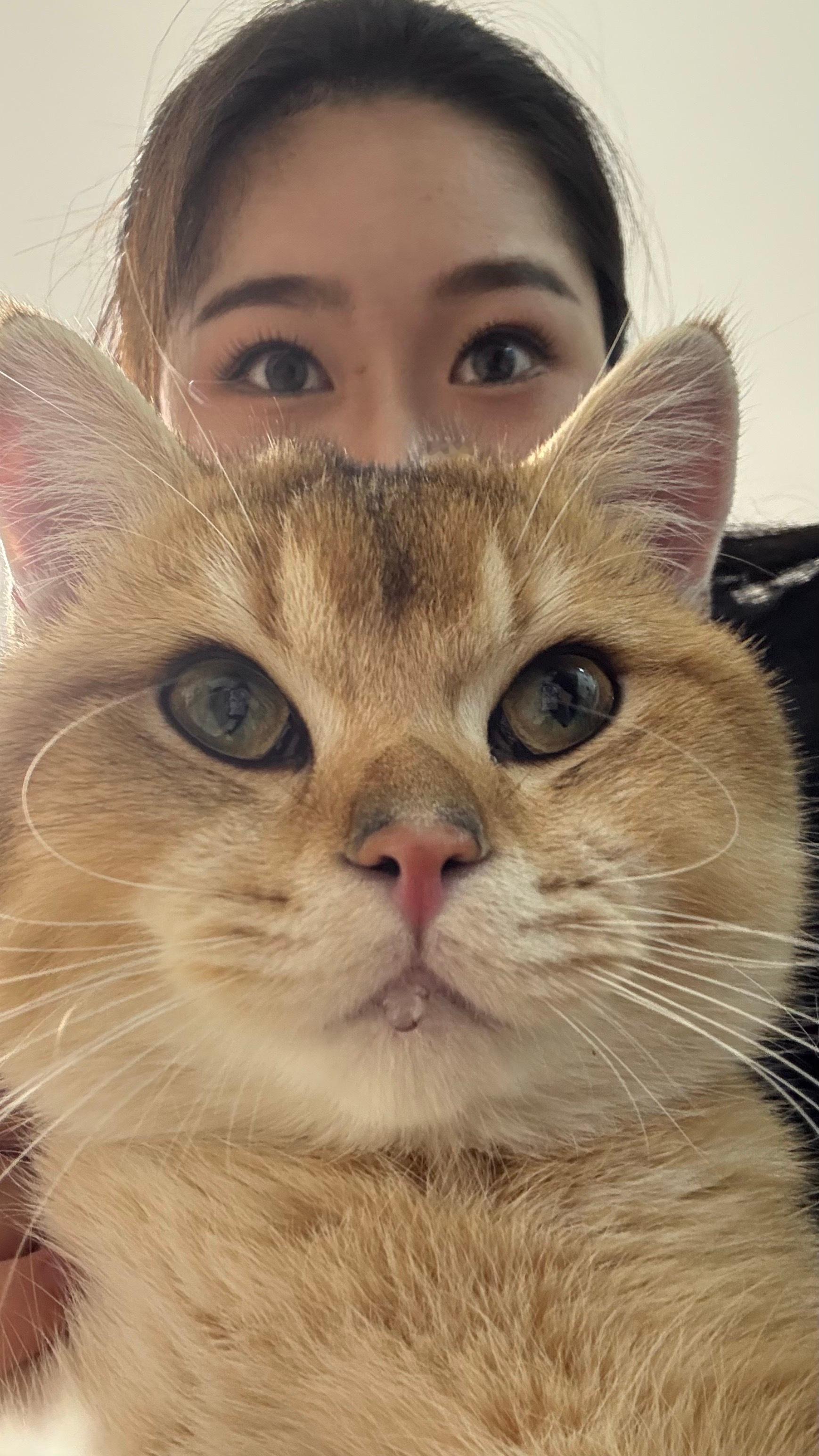 AAA东北虎哥金建城 ​​​