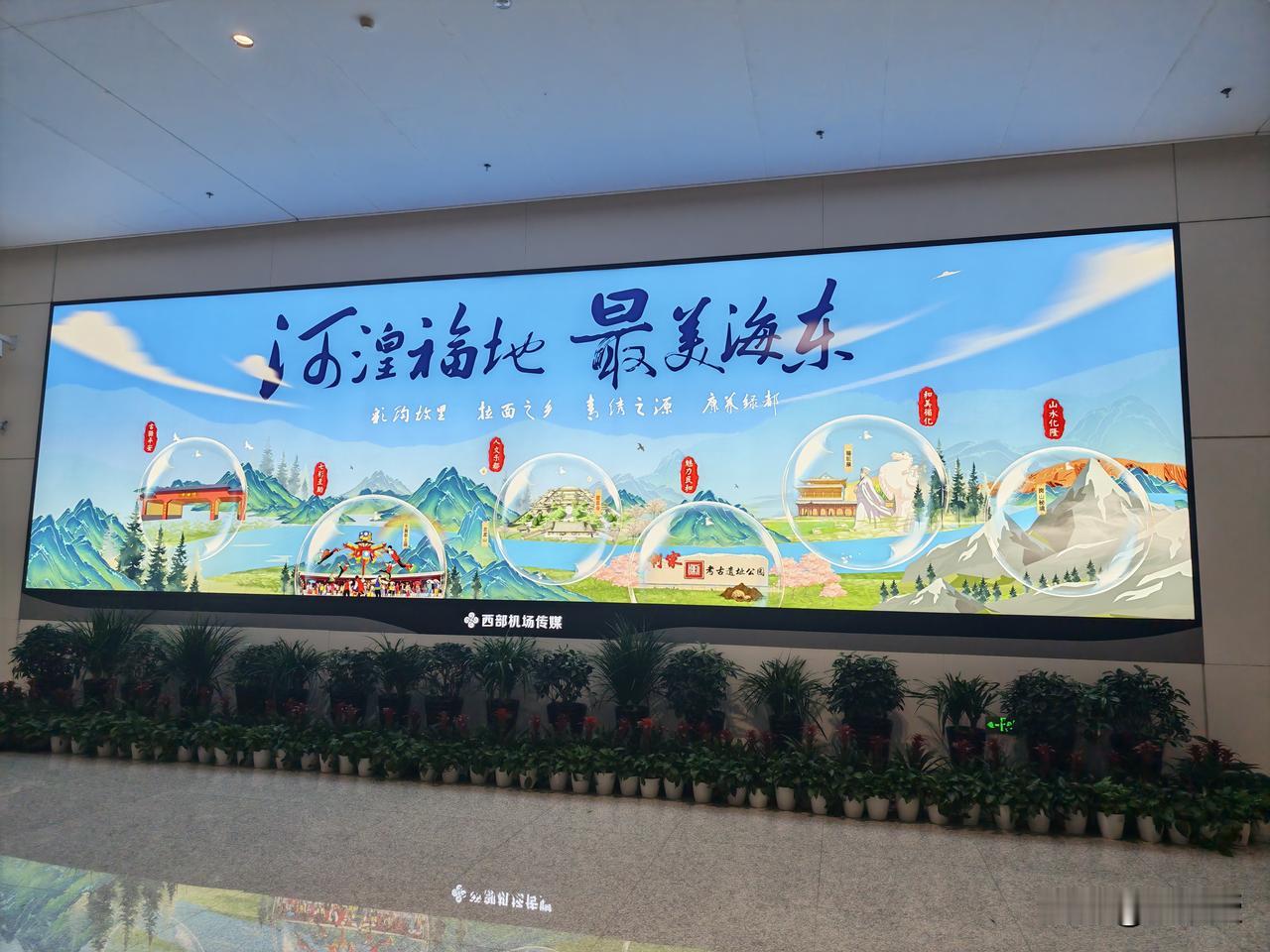 十几年没来青海了
之前是从甘肃自驾来的青海
青海人杰地灵
这么久没来
有什么需要