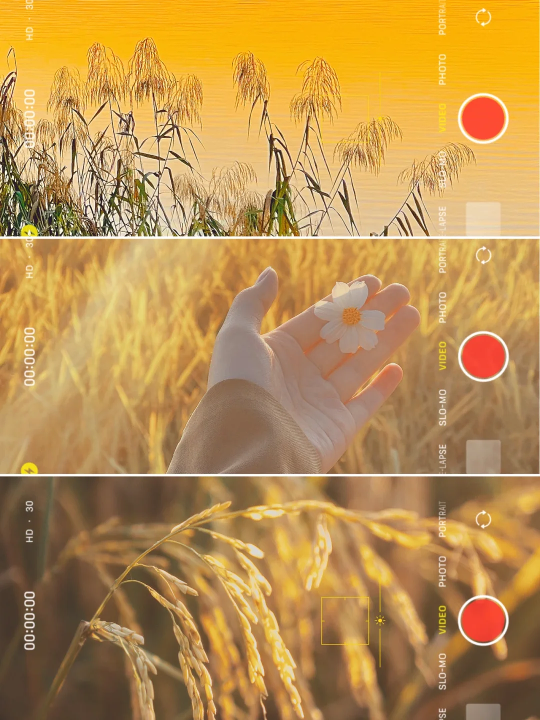 手机调色✨落日氛围电影感滤镜🌇拯救废片❗