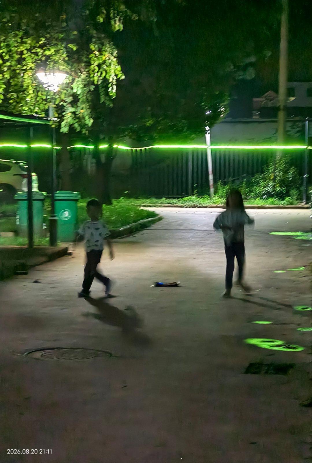 小孩子捡纸板瓶子真的会上瘾，小区里有两小姐弟，天天都能看到她们忙于各个单元门门口