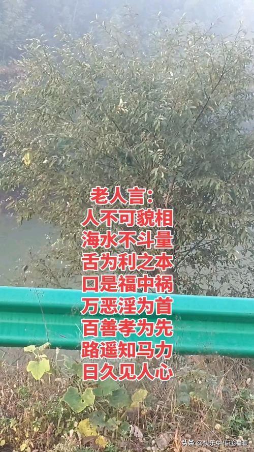 ------

1. 朋友调侃/轻松场合（自嘲+反转）

回应：  

“海水不