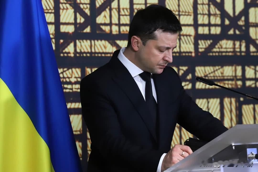 泽连斯基：下一轮美俄乌三方和平谈判将于2月4至5日举行
 
乌克兰总统泽连斯基表