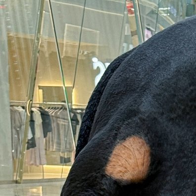 人生苦短，何不淡然。看透的人，处处是生机；看不透的人，处处是困境。拿得起的人，处