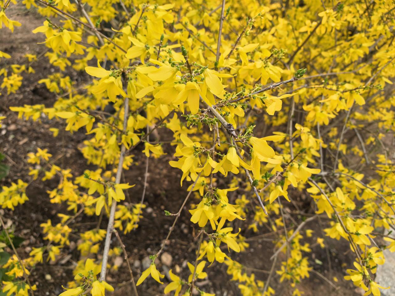 记录我的2026今天走了1万步。