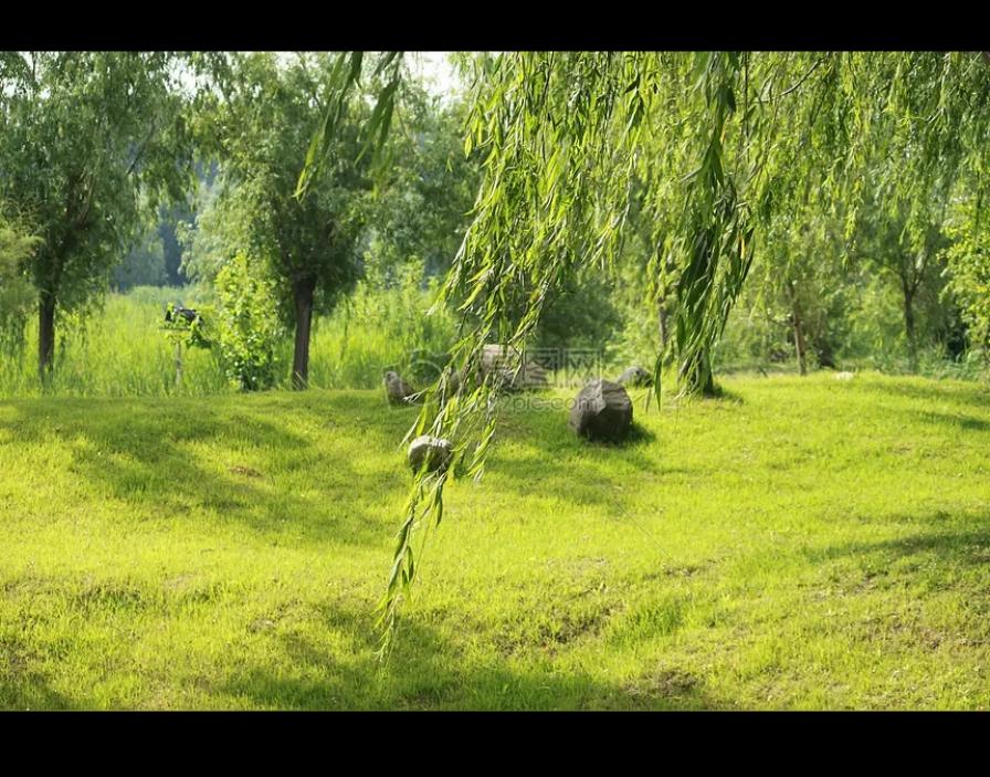 今年春天最想实现的心愿脱去棉袄，换上轻装，芳草地上打个滚。