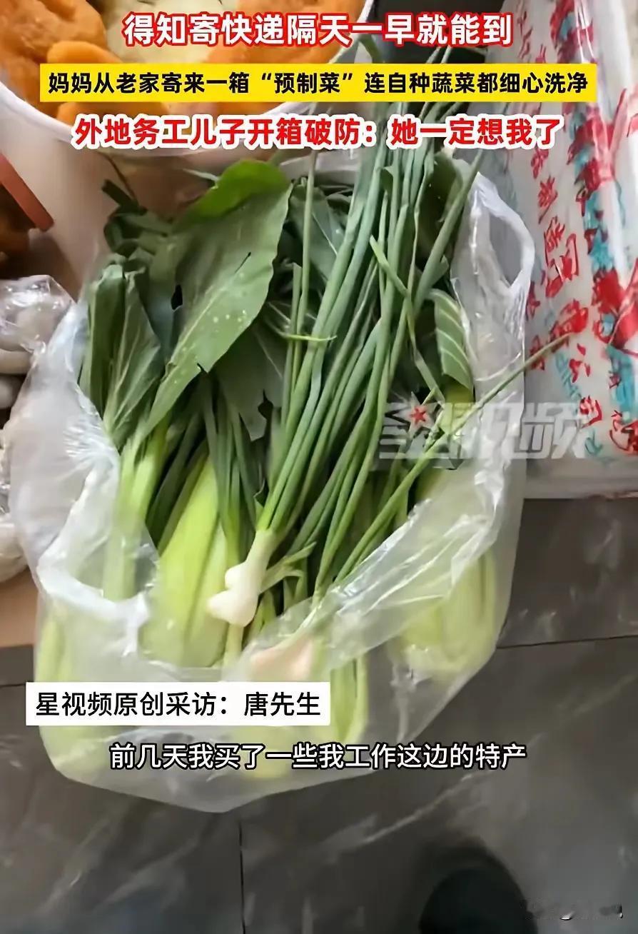 破防了！浙江宁波的这个故事，仿佛一面镜子，映照出无数家庭那份深藏心底的牵挂与爱。