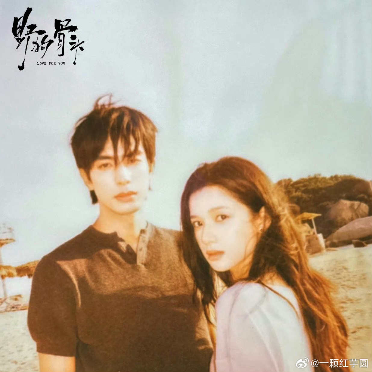 宋威龙 张婧仪 《野狗骨头》明天有物料！！这部也是热度超高，好多人期待