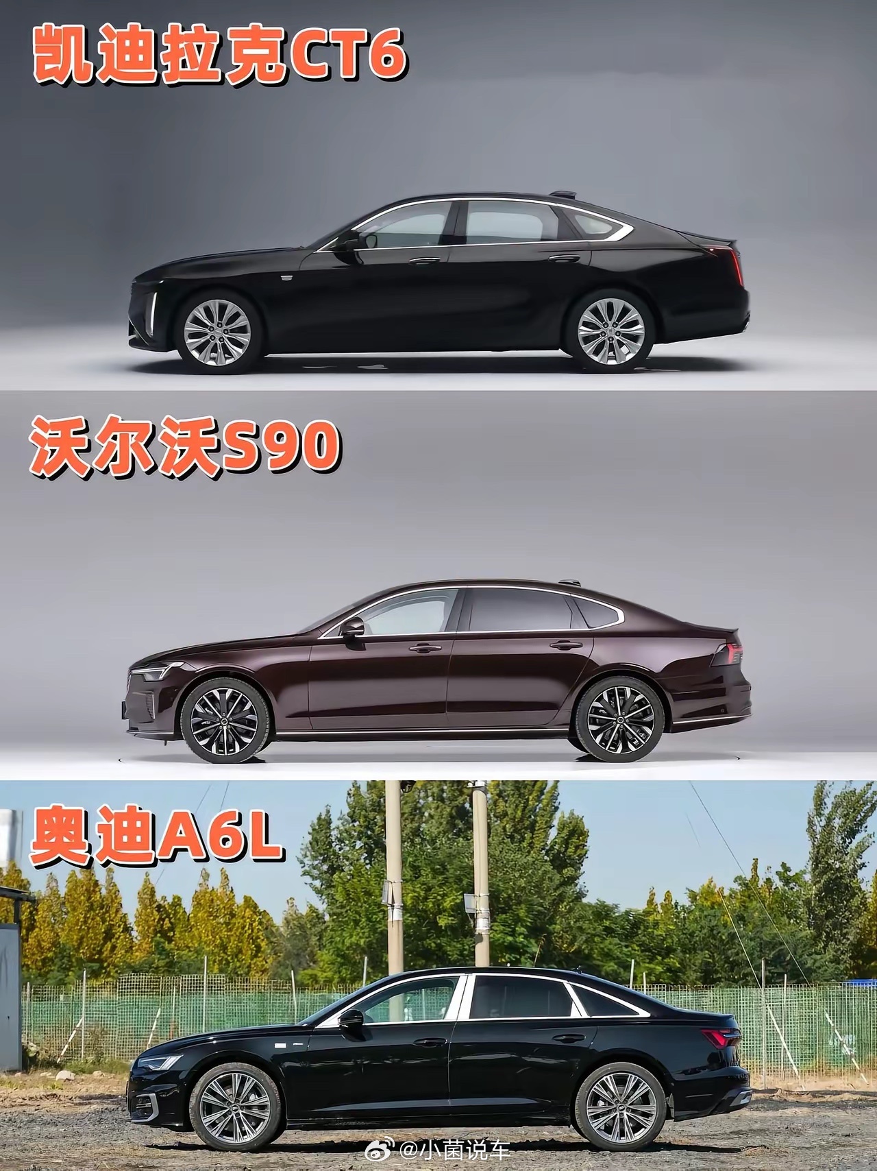 这个级别你会选哪个？小菌车视界大v聊车