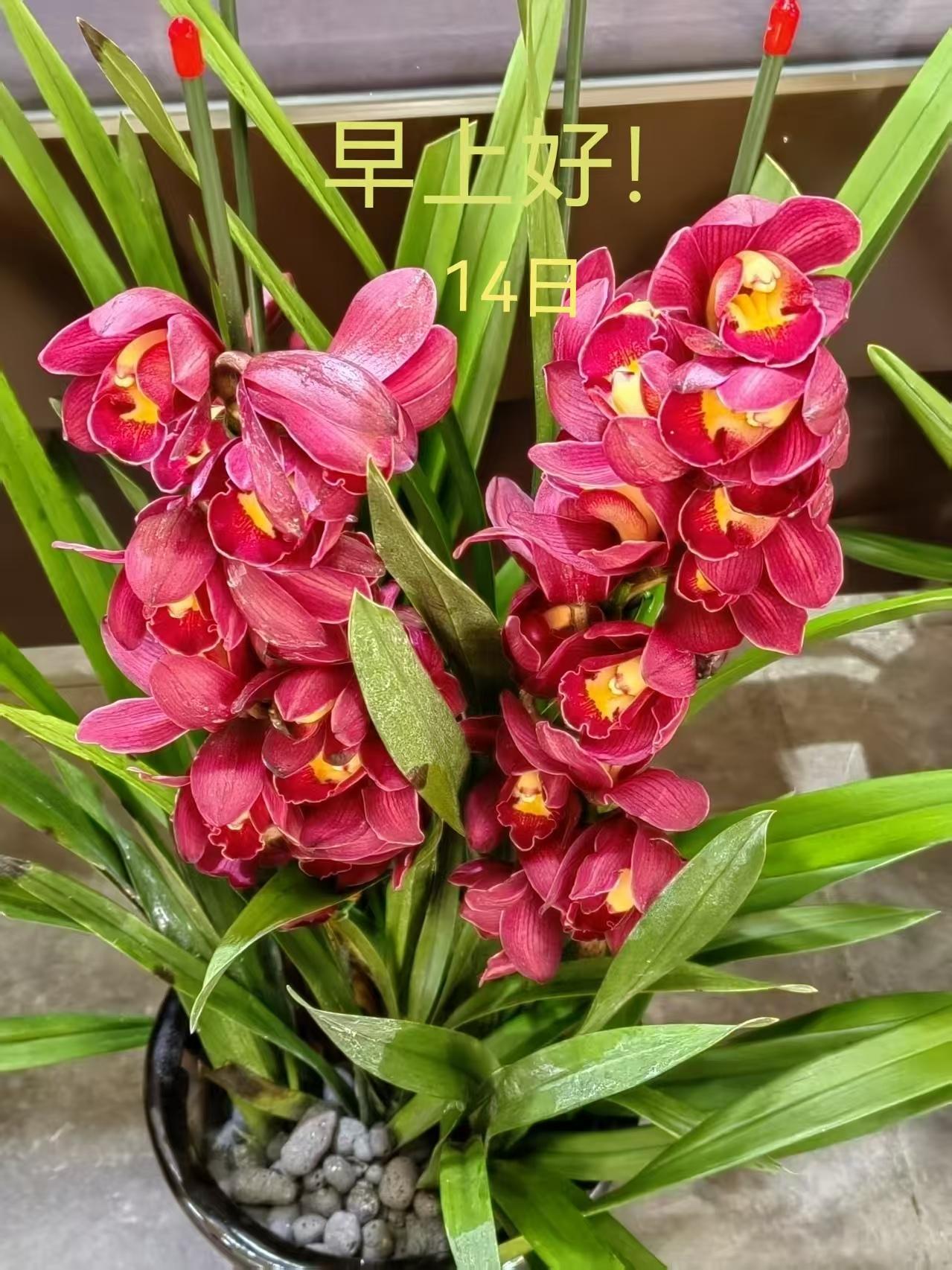 现在的学生家长与老师微信群太多了！

什么语文群英语群、班级群，每一科的老师都建