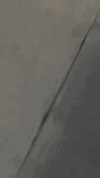 智商不怎么样，但是胜在体力确实很强大。