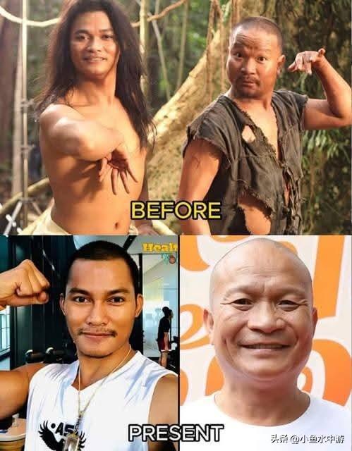 托尼贾以前和现在