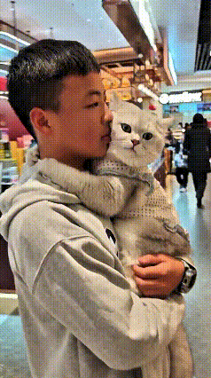 今天这一幕真的太暖了！小帅哥抱着自家小猫咪去姑姑家，一路上这小家伙黏得不行，两只